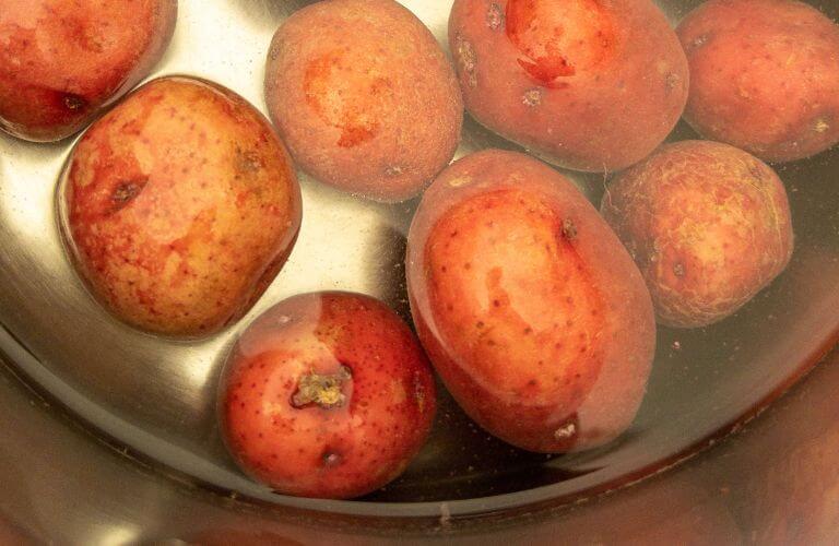 red baby potatoes in silver pot of water