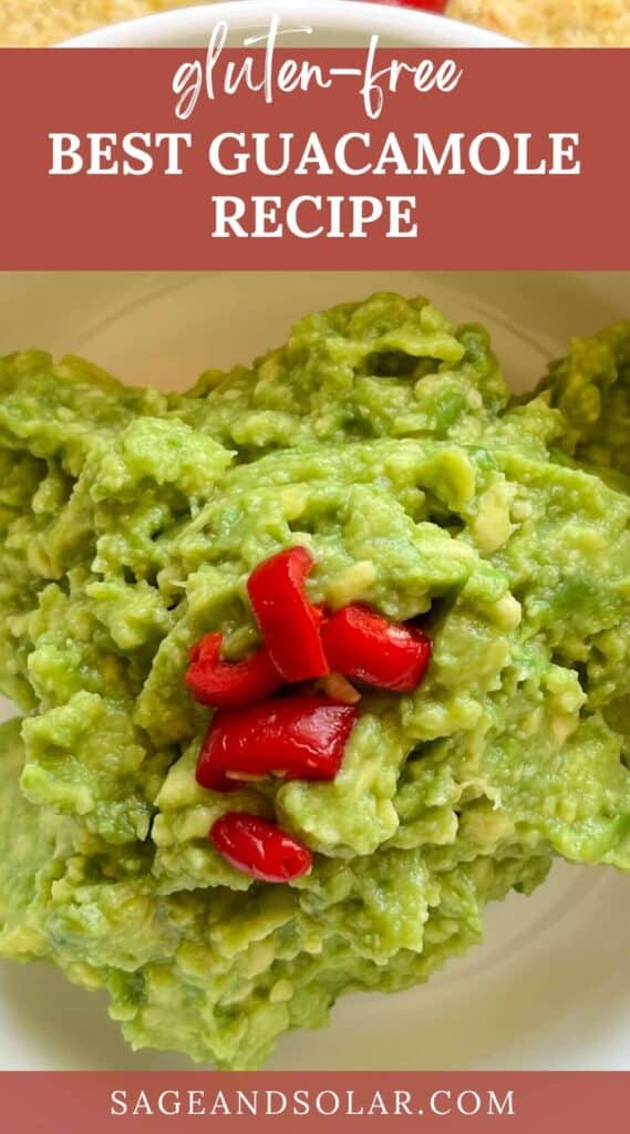 best guacamole recipe that's easy and gluten free