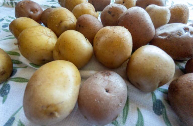 potatoes on cloth