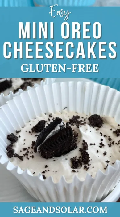 Dive into a world of flavor with these no-bake gluten-free Oreo cheesecake bites, an irresistible treat for any dessert lover