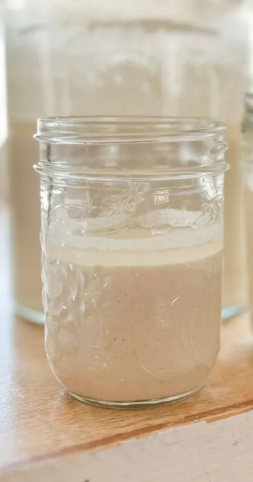 A close-up image of a jar of Gluten-Free Sourdough Discard showcasing its potential for delectable recipes.