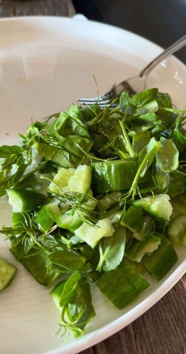 Vibrant green cucumbers smashed and seasoned with fragrant dill, then mixed with pea shoots forming a gluten-free salad.