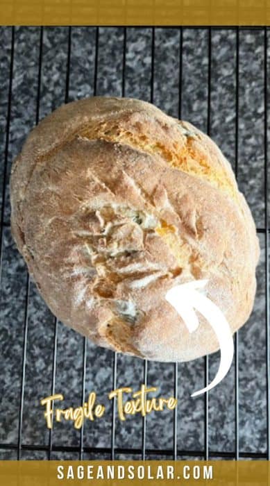 Gluten free  dairy-free Jalapeno cheddar loaf with an arrow pointing to the fragile texture of gluten-free bread.